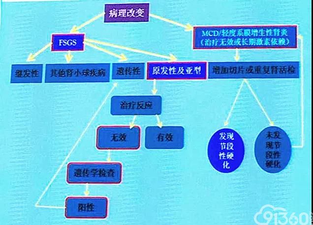 局灶节段性肾小球硬化的诊疗流程图一览