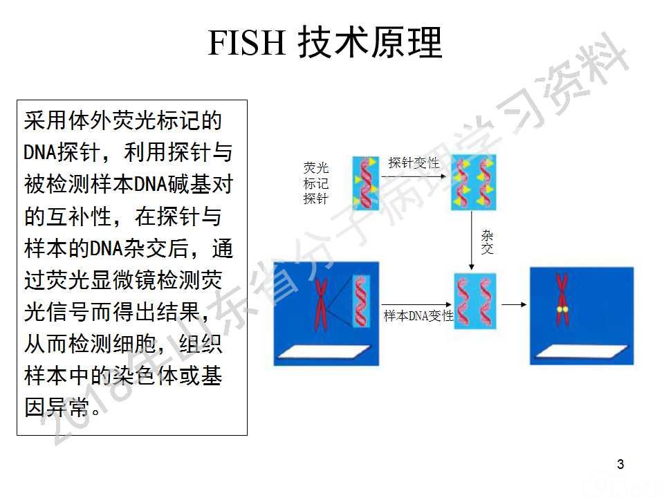 fish原理及操作判读