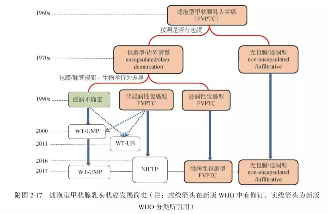 组织全球多中心病理专家,对 210 例伴有/不伴有浸润的包裹性甲状腺