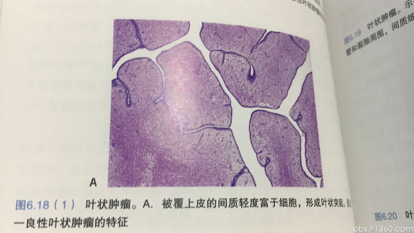 QQ图片20170118153411.jpg