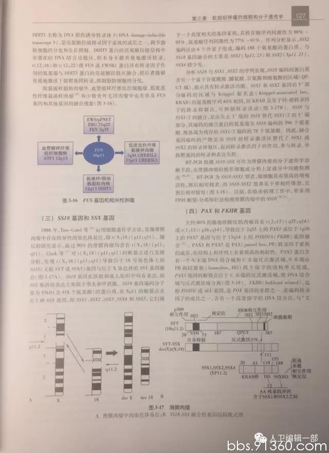 【好书推介】《软组织肿瘤病理学》（第2版）