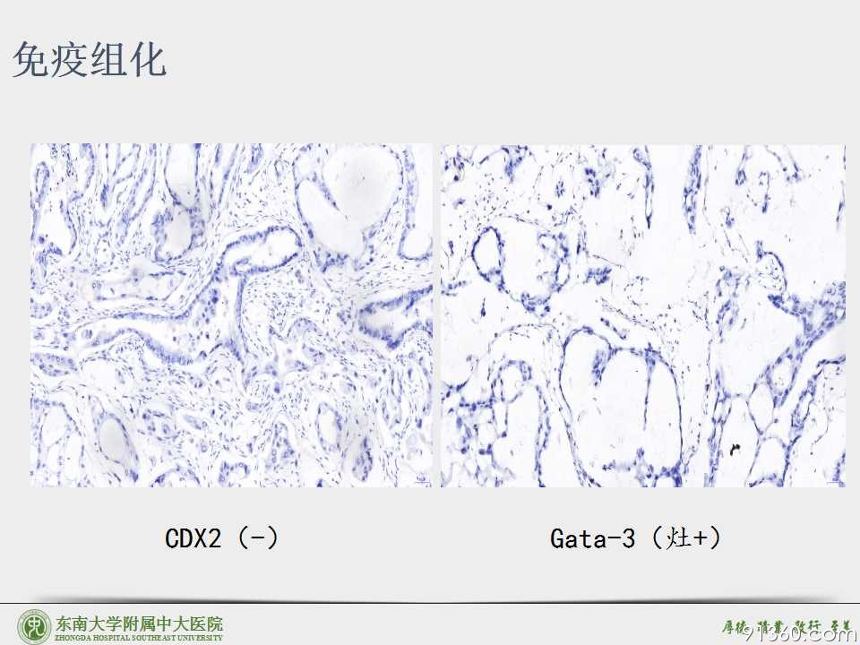 幻灯片28.jpg