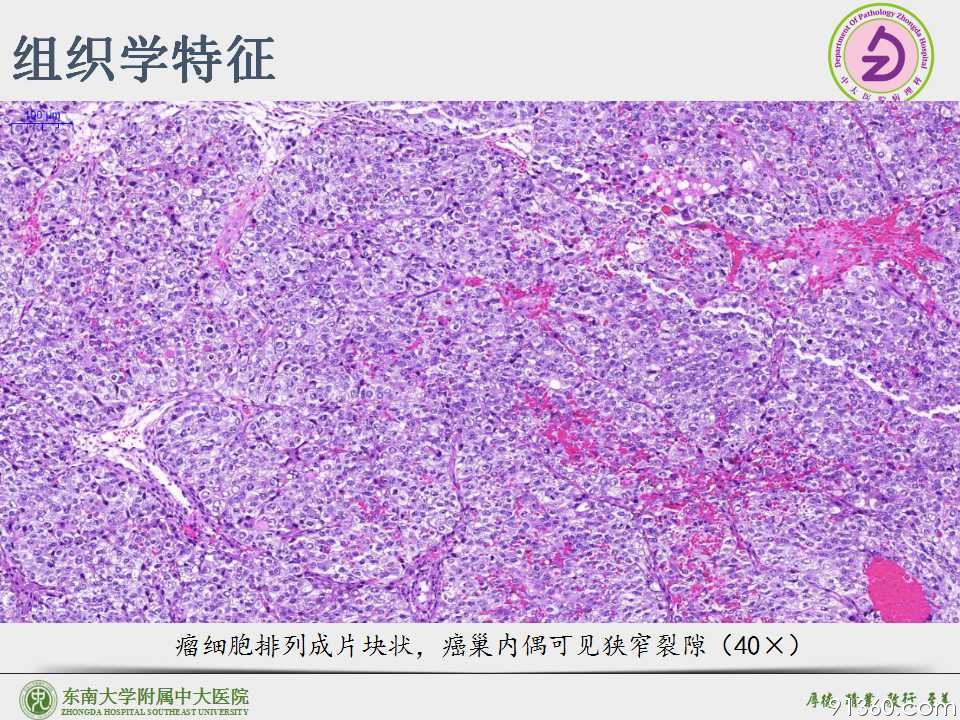 幻灯片9.jpg