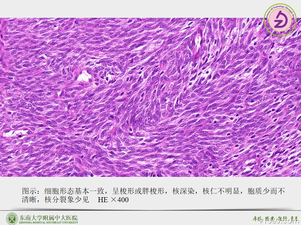 幻灯片7.JPG