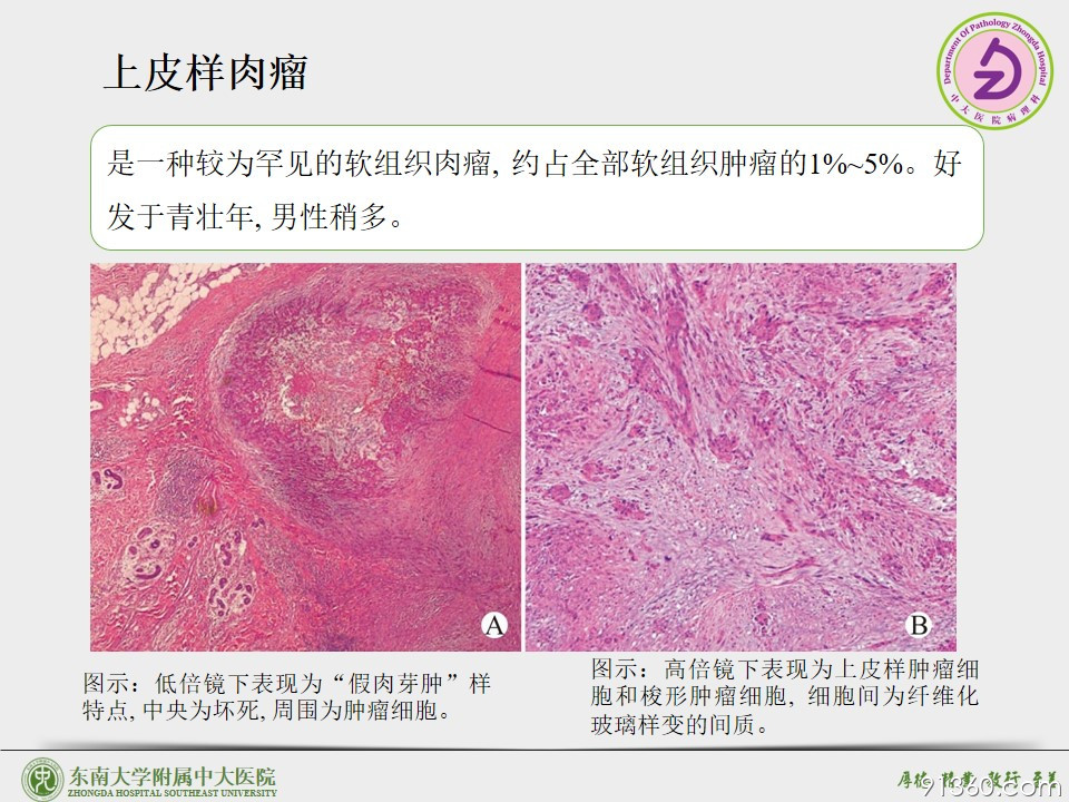 幻灯片63.JPG