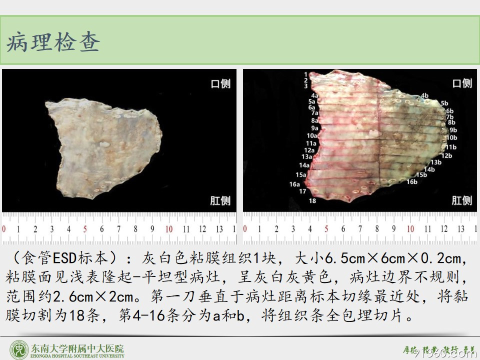 幻灯片5.JPG