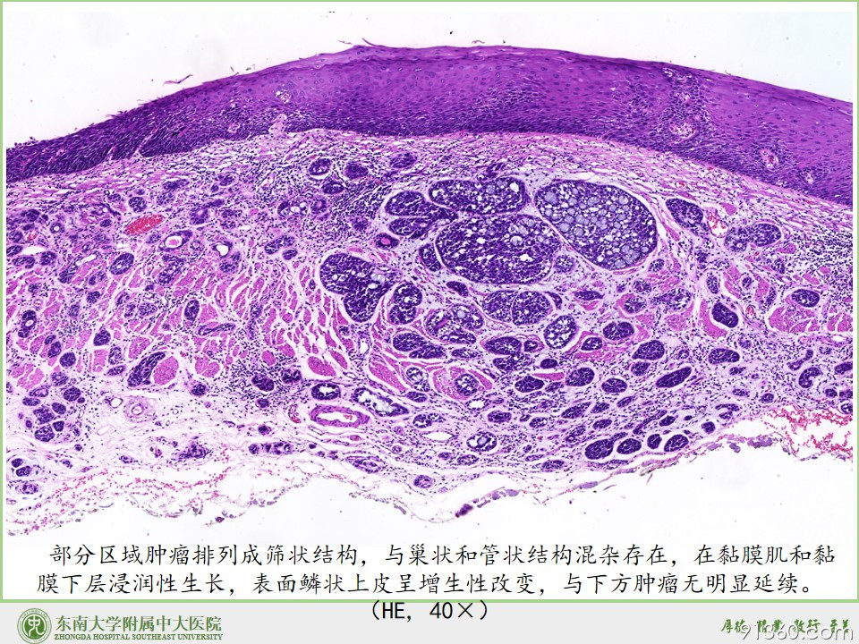 幻灯片9.JPG