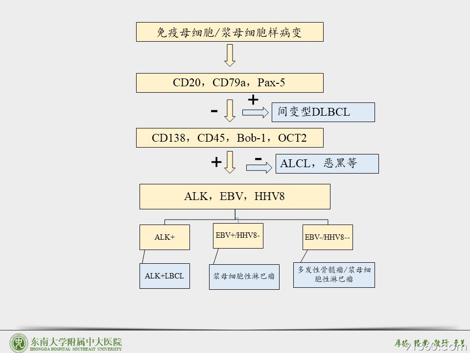 幻灯片63.JPG