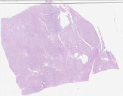 small-slice