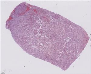 small-slice