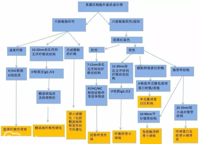 肾内病理图解：有形结构沉积肾小球病