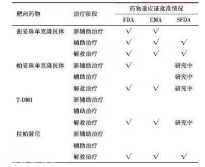 表2 HER2阳性乳腺癌靶向治疗药物现状