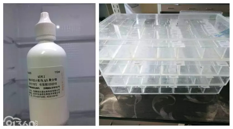 免疫组织化学染色