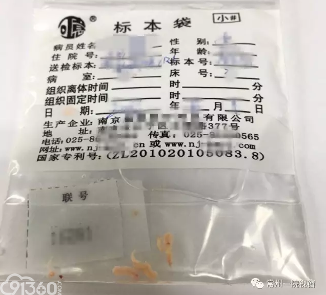 标本袋照片