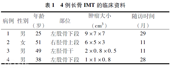 长骨炎症性肌纤维母细胞性肿瘤的临床病理观察