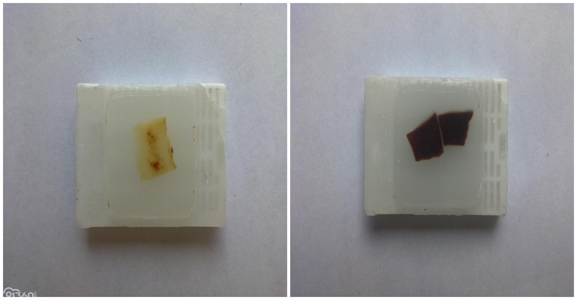 常规病理学技术流程及质控