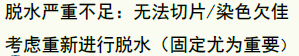 常规病理学技术流程及质控