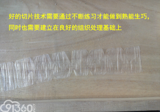 常规病理学技术流程及质控