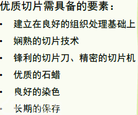 常规病理学技术流程及质控