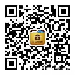 口袋病理