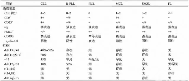 套细胞淋巴瘤（诊断篇）