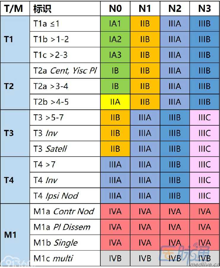 布氏分期6期表图图片