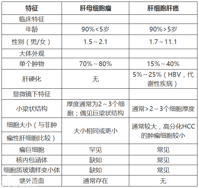 肝母细胞瘤的病理诊断注意事项