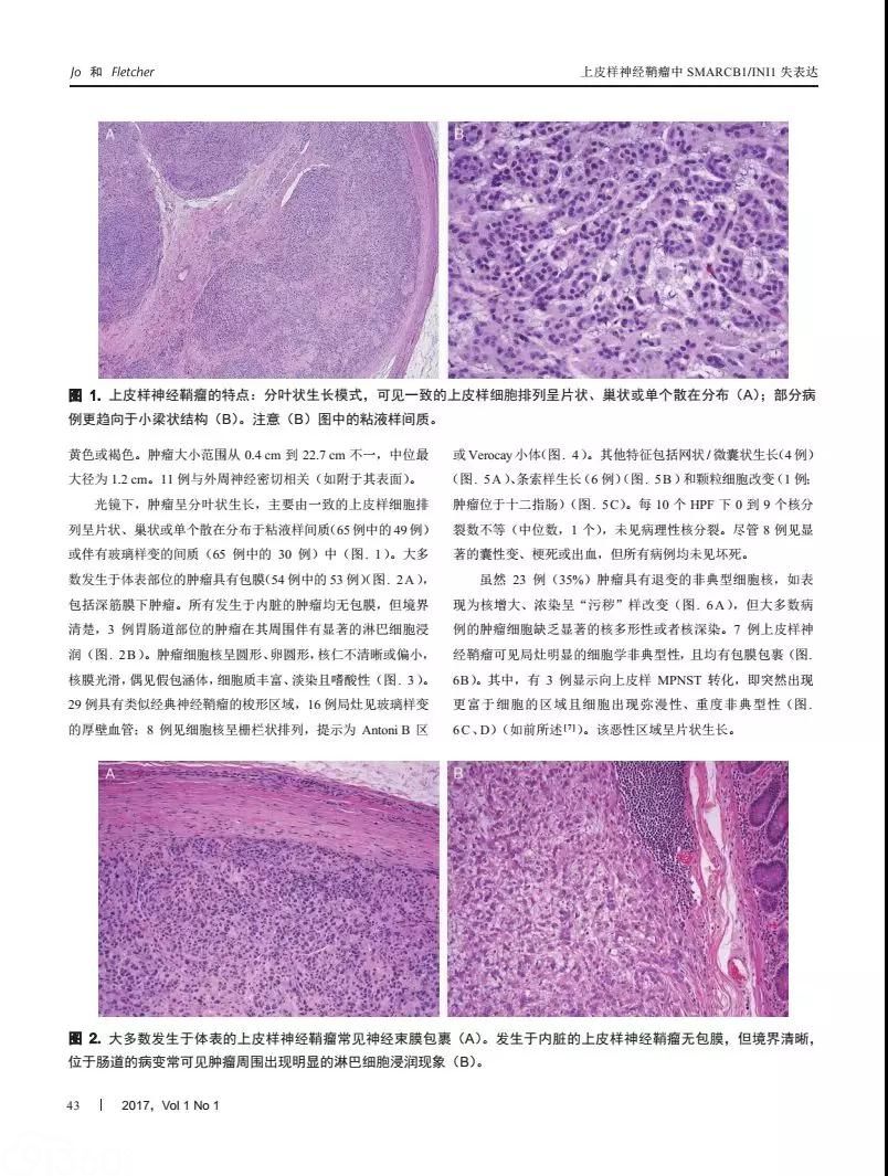 美国外科病理学杂志