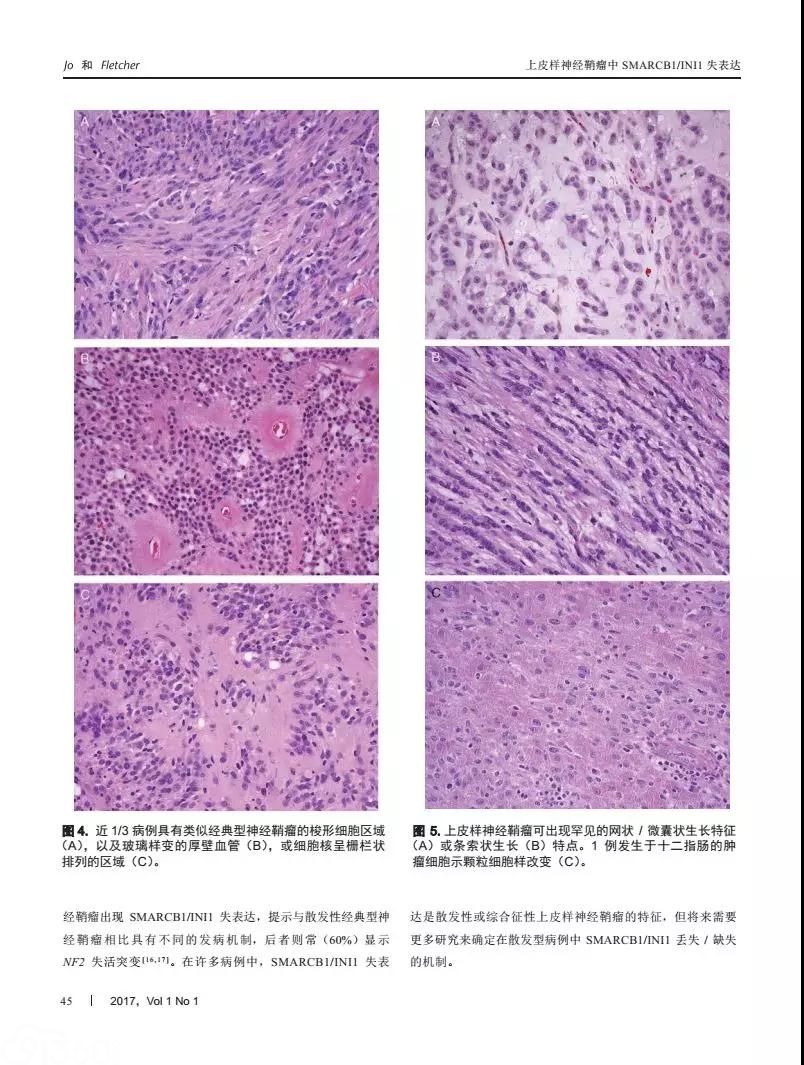 美国外科病理学杂志