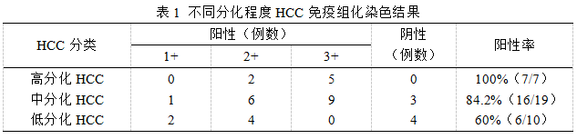 P-糖蛋白在肝细胞癌鉴别诊断中的潜在价值
