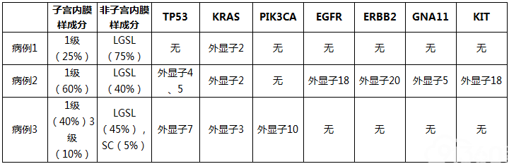 伴“低级别浆液”样成分的混合型子宫内膜癌:临床病理、免疫组化和分子遗传学研究