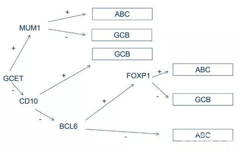 图文解析弥漫大B细胞淋巴瘤(DLBCL)