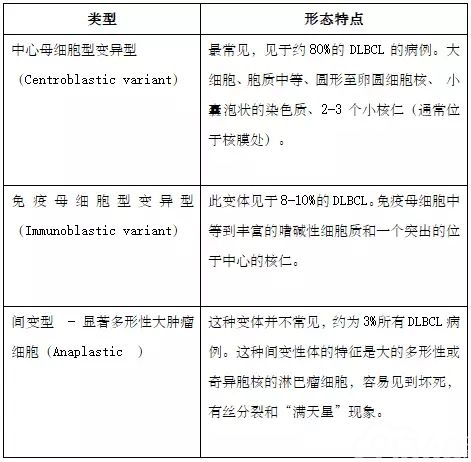 图文解析弥漫大B细胞淋巴瘤(DLBCL)