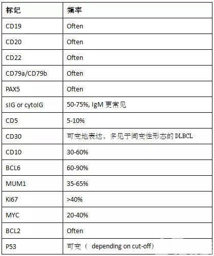 图文解析弥漫大B细胞淋巴瘤(DLBCL)