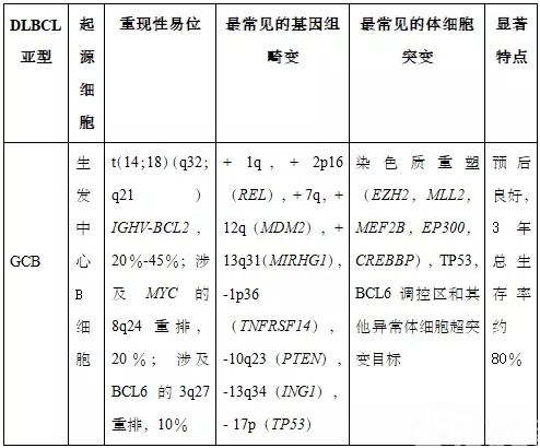 图文解析弥漫大B细胞淋巴瘤(DLBCL)