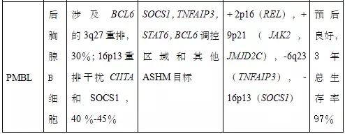 图文解析弥漫大B细胞淋巴瘤(DLBCL)