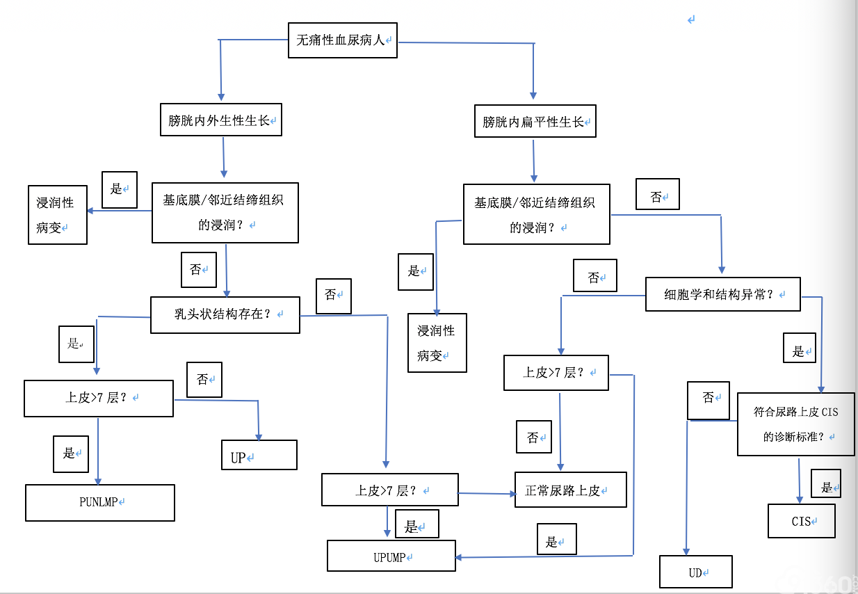 低度恶性潜能乳头状尿路上皮肿瘤、恶性潜能未定的尿路上皮增生、尿路上皮异型增生和尿路上皮乳头状瘤的诊断困难:目前文献的复习