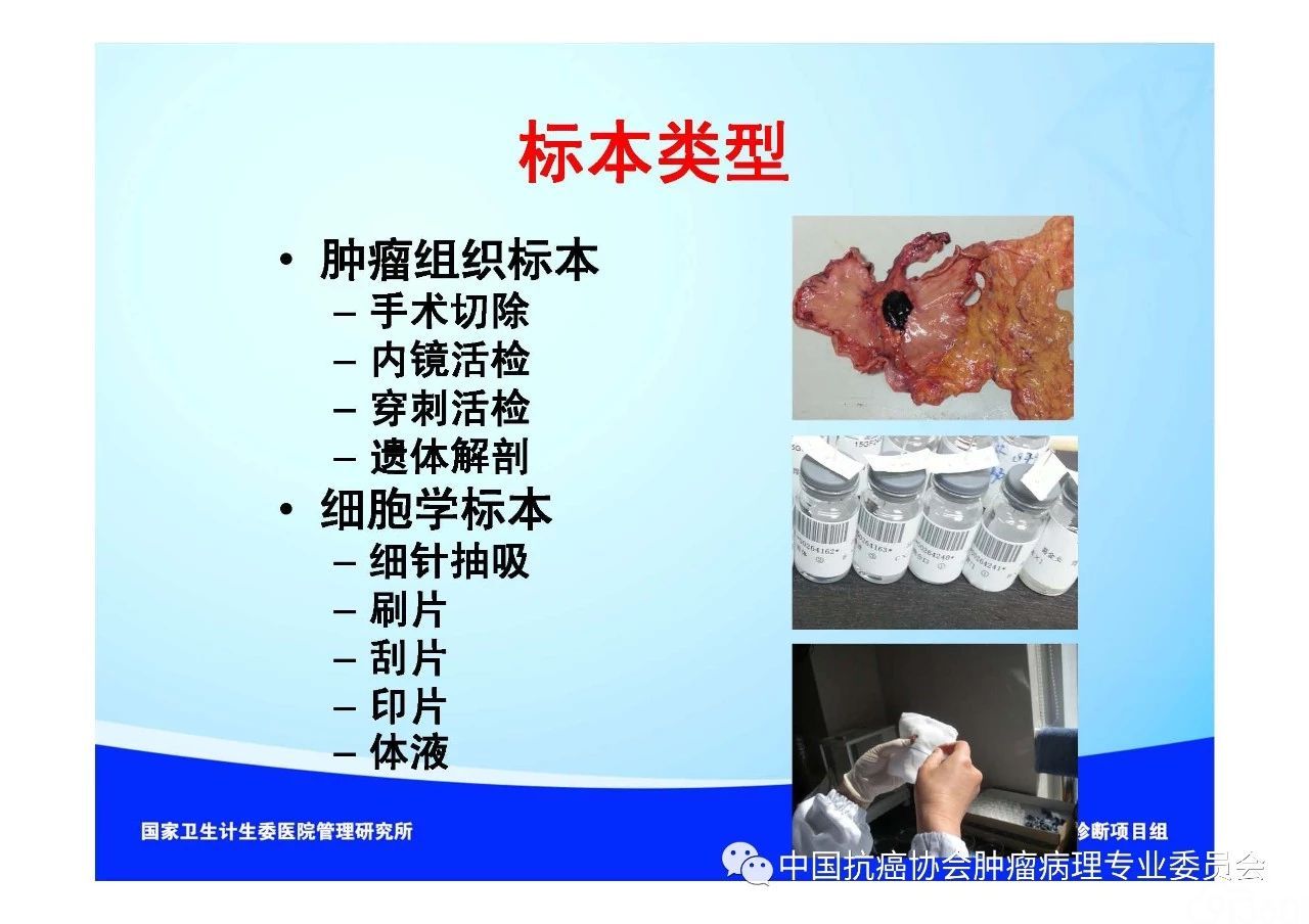 肿瘤病理规范化诊断标准 第1部分:总则