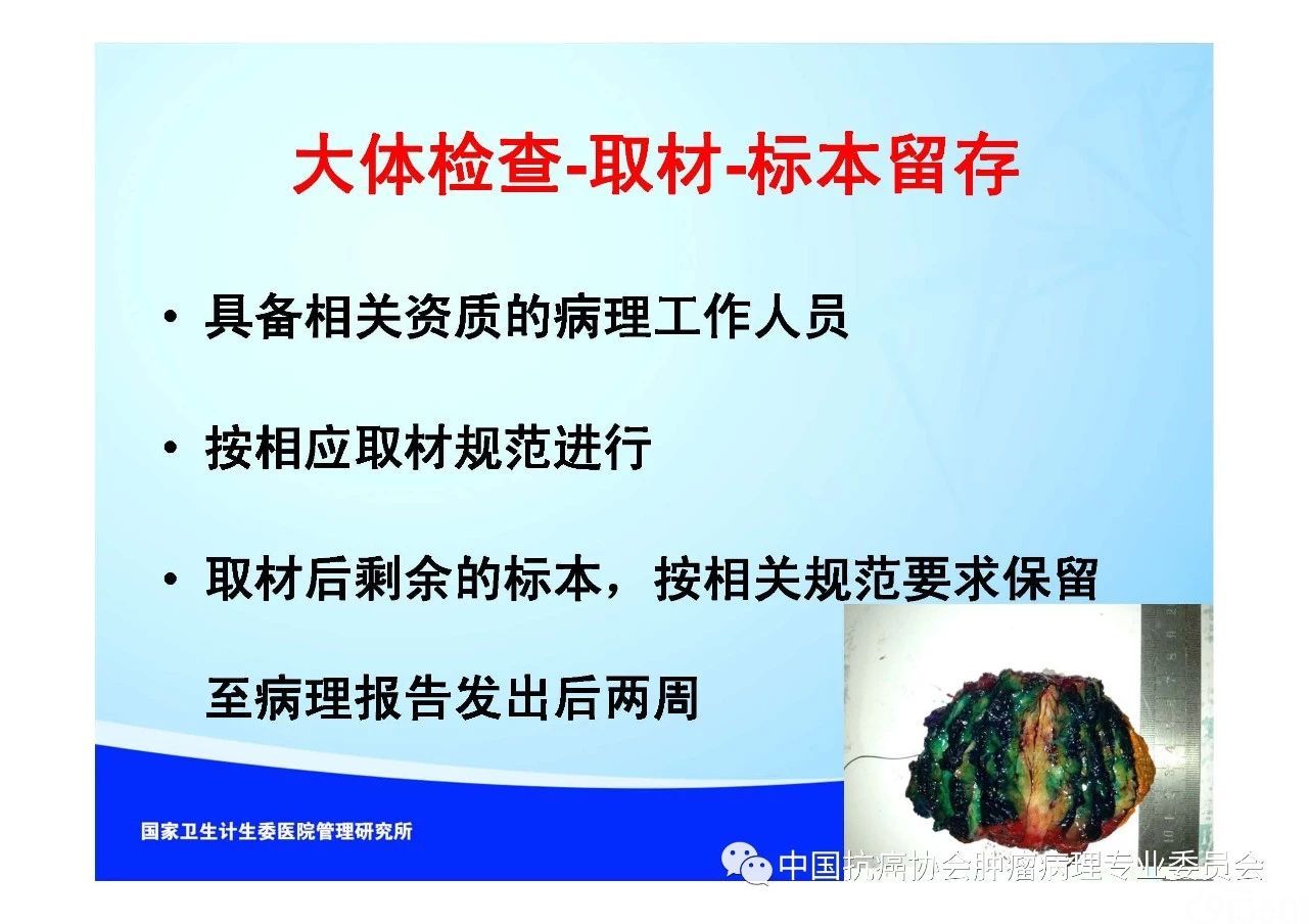 肿瘤病理规范化诊断标准 第1部分:总则
