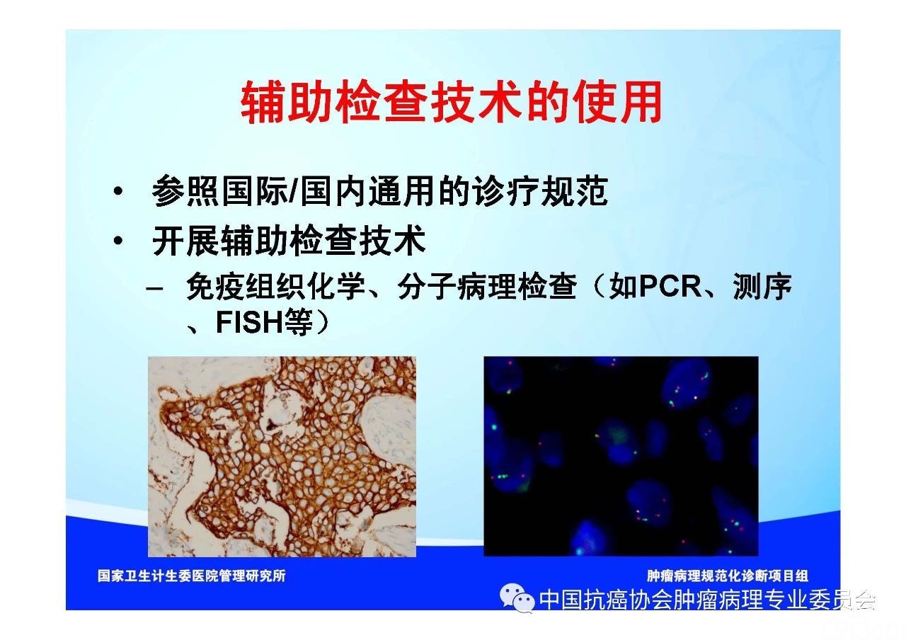 肿瘤病理规范化诊断标准 第1部分:总则