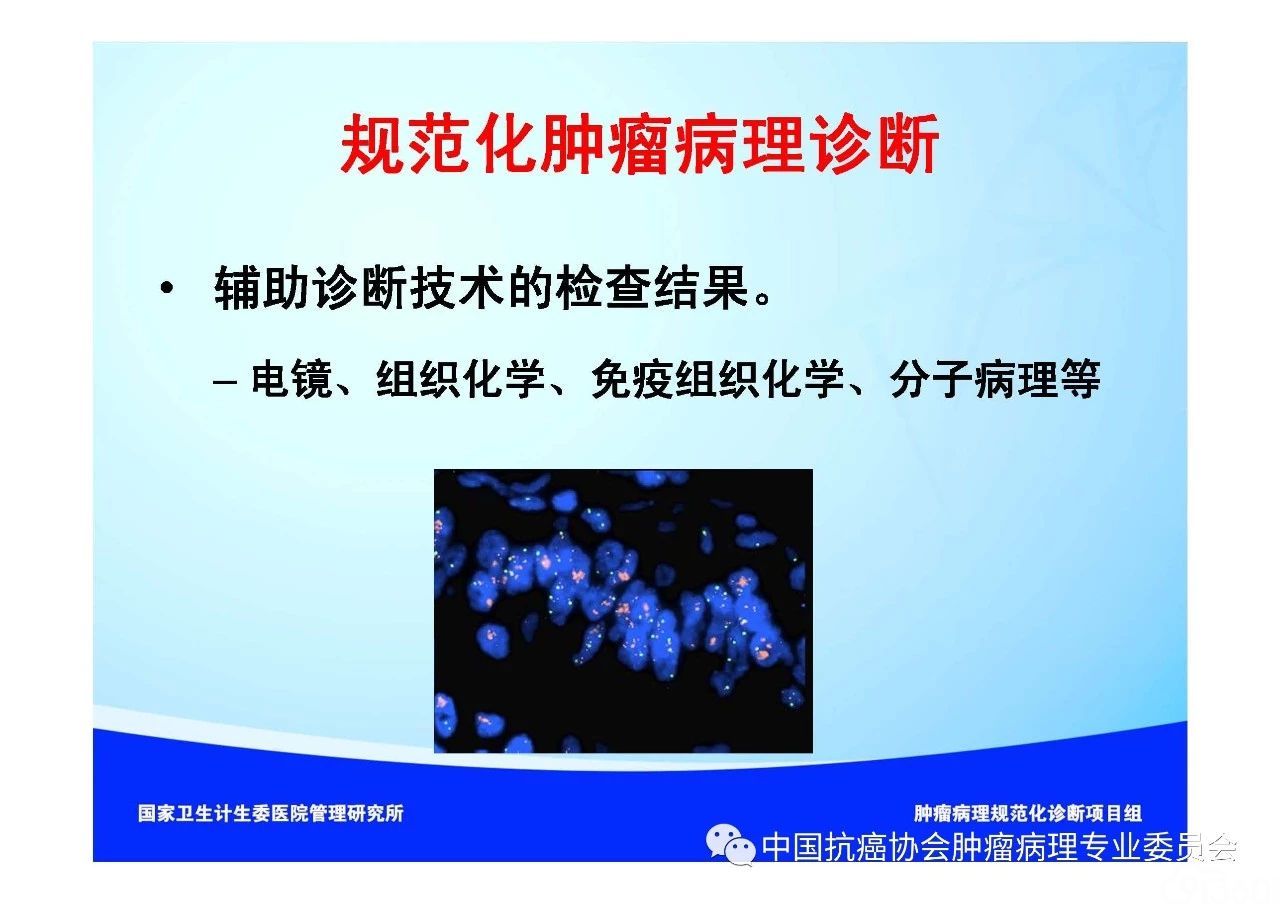肿瘤病理规范化诊断标准 第1部分:总则
