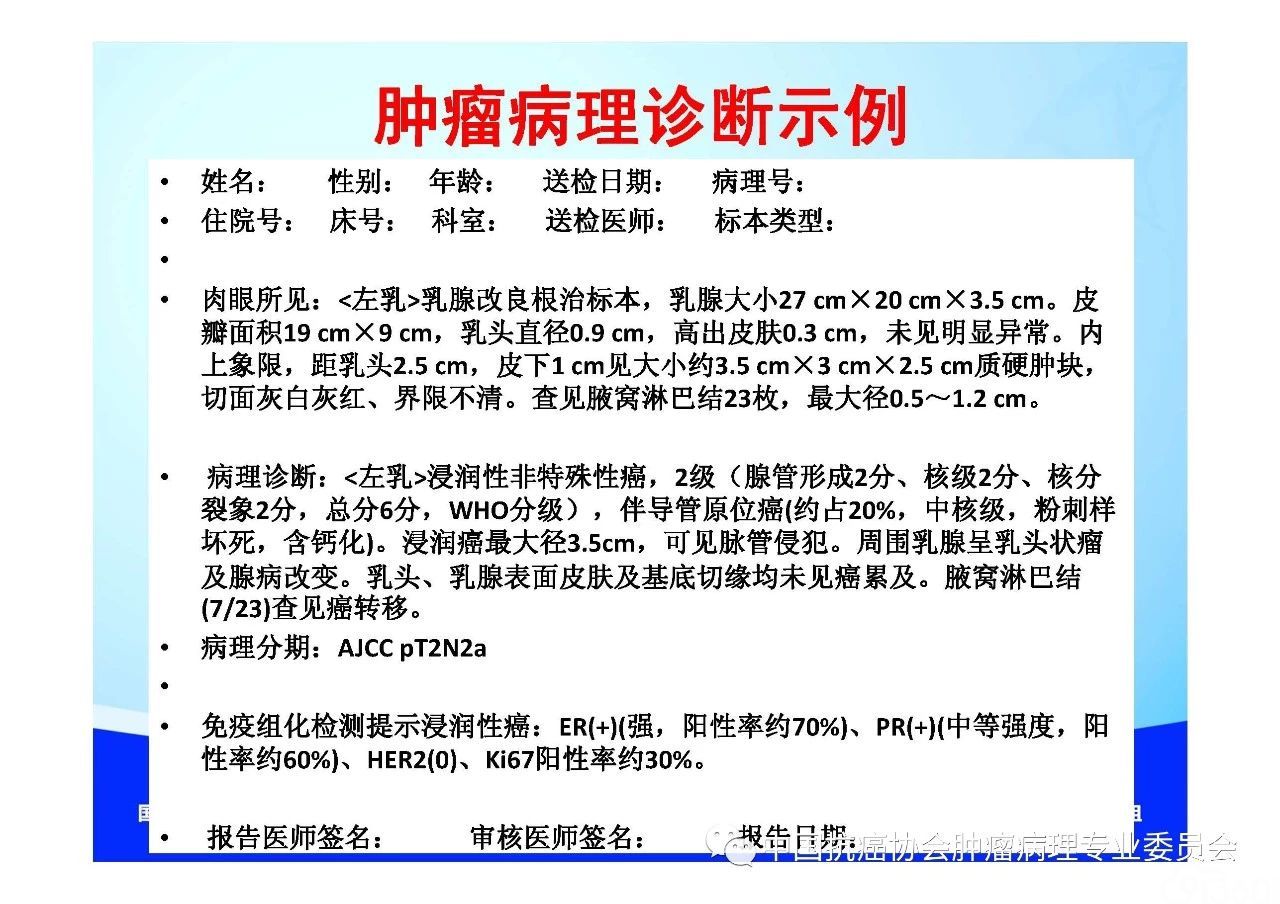 肿瘤病理规范化诊断标准 第1部分:总则