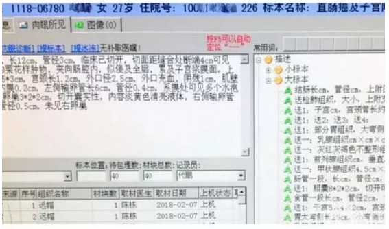 病理切片诞生过程