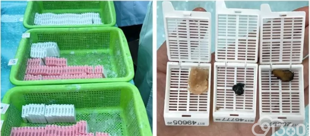 病理切片诞生过程