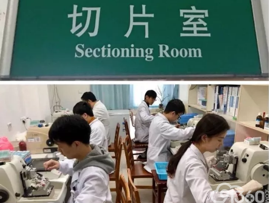 病理切片诞生过程