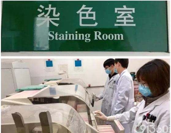 病理切片诞生过程