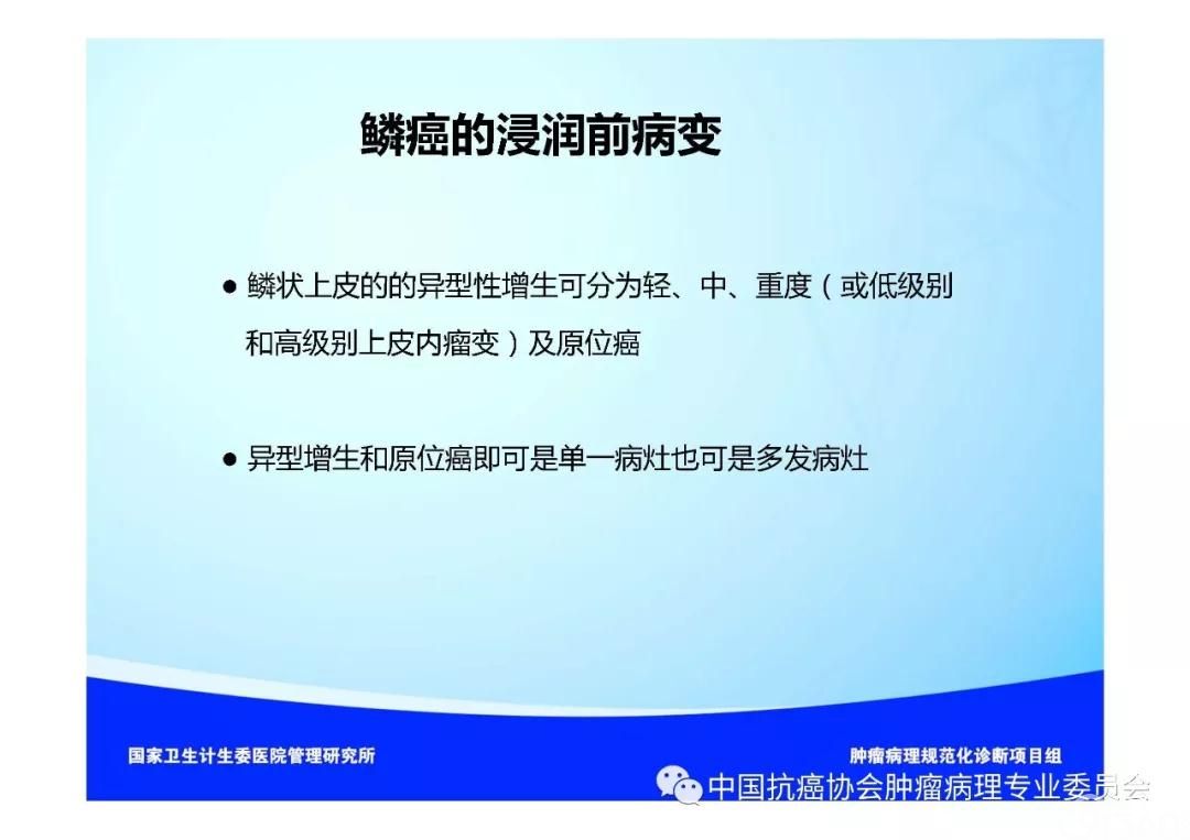 肿瘤病理规范化诊断标准 第3部分:肺癌病理诊断标准