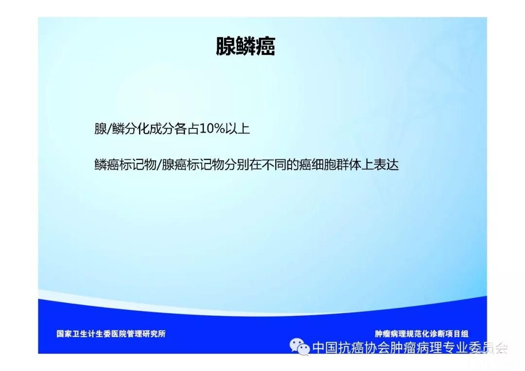 肿瘤病理规范化诊断标准 第3部分:肺癌病理诊断标准