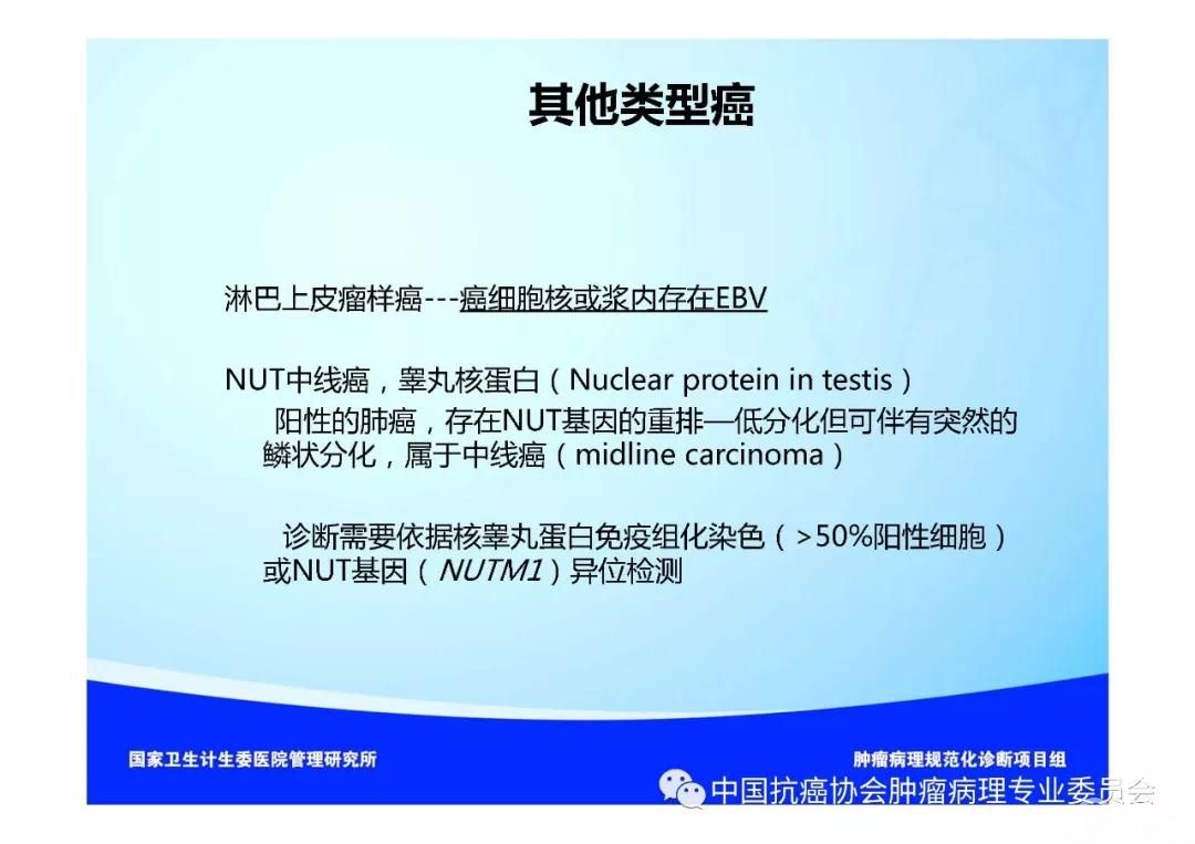 肿瘤病理规范化诊断标准 第3部分:肺癌病理诊断标准