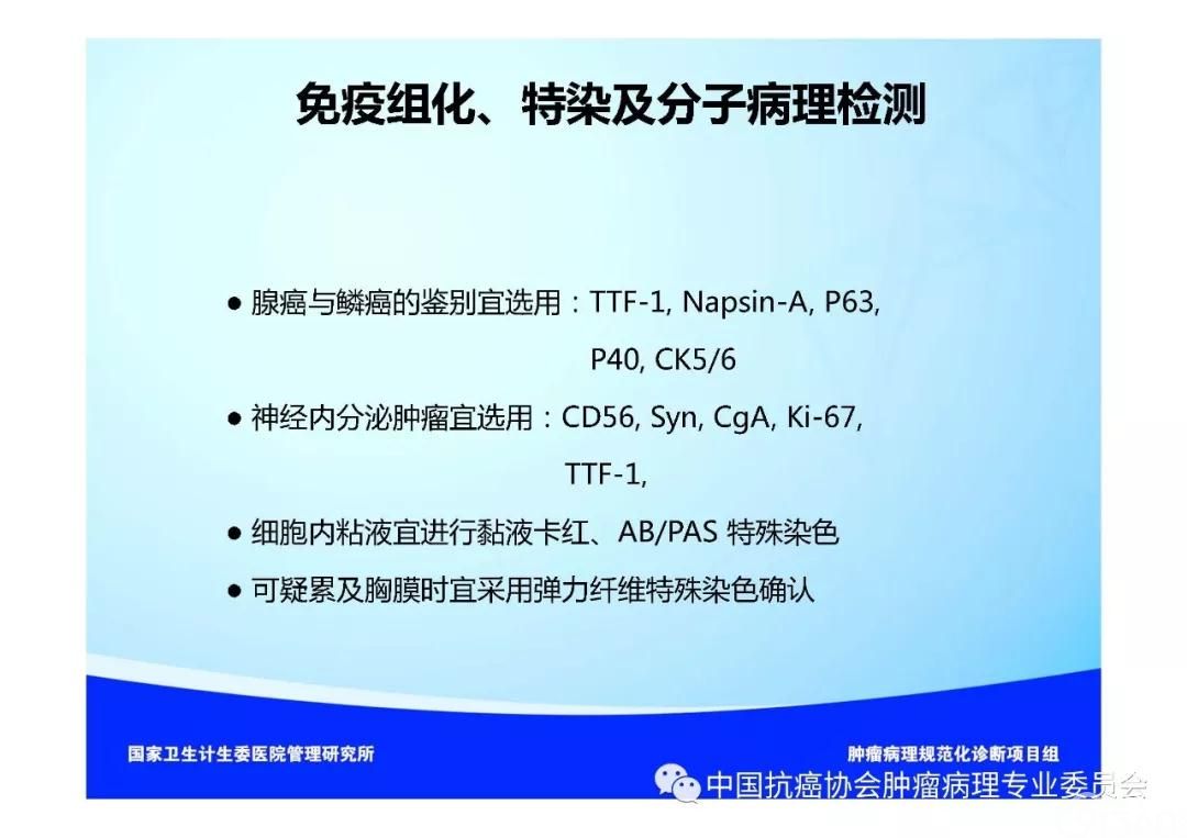 肿瘤病理规范化诊断标准 第3部分:肺癌病理诊断标准